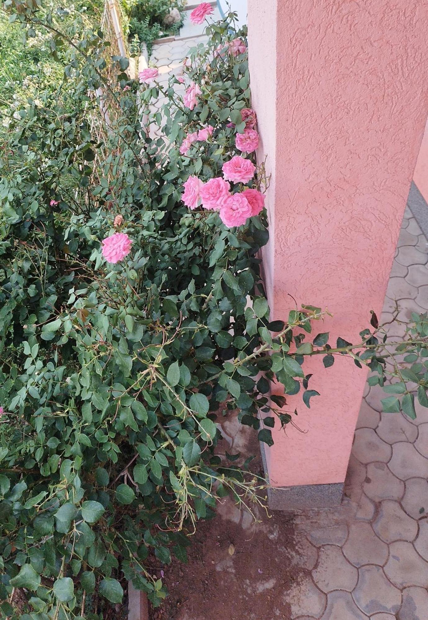 Apartman Leki Saraybosna Dış mekan fotoğraf